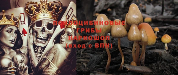 PSILOCYBIN Россошь