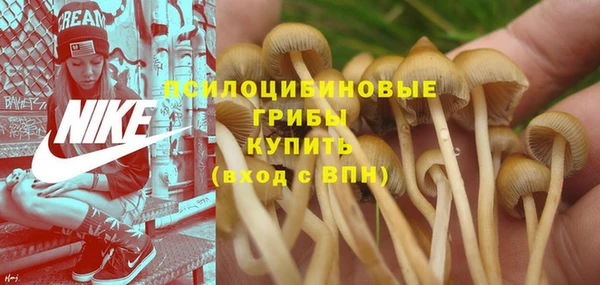 молекула духа Абаза