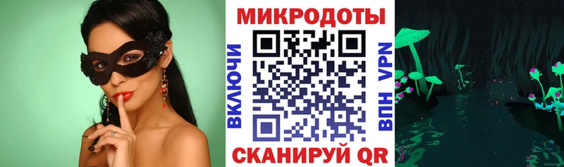 Галлюциногенные грибы Psilocybe Лиски