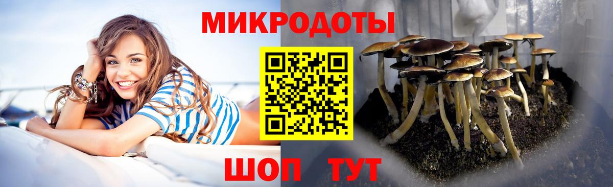 Лиски  Псилоцибиновые грибы Magic Shrooms  Вход с VPN 